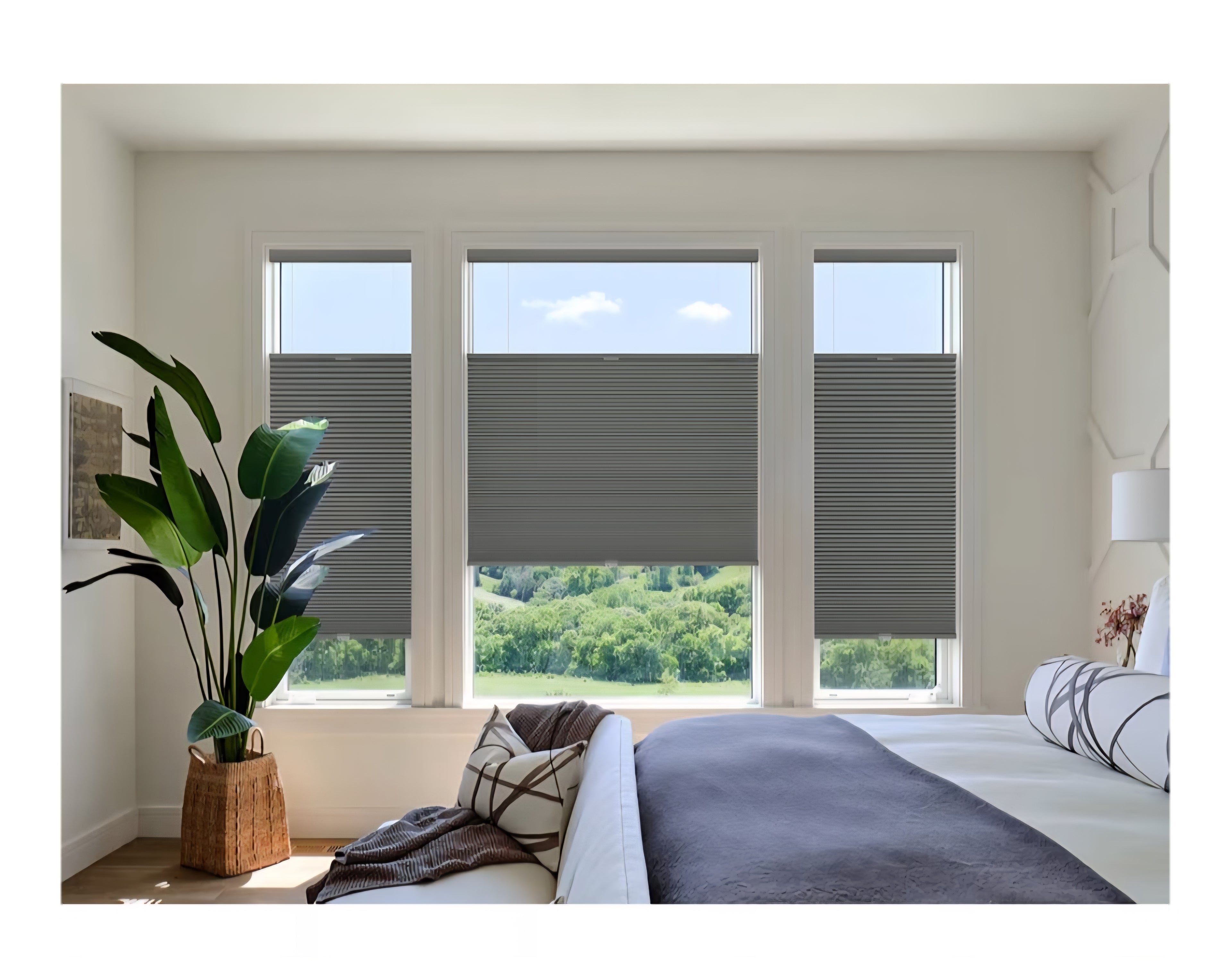 Top Down Bottom Up (TDBU) Cordless Cellular Shades, Blackout Light Blocking Honeycomb Shades 32" x 64"