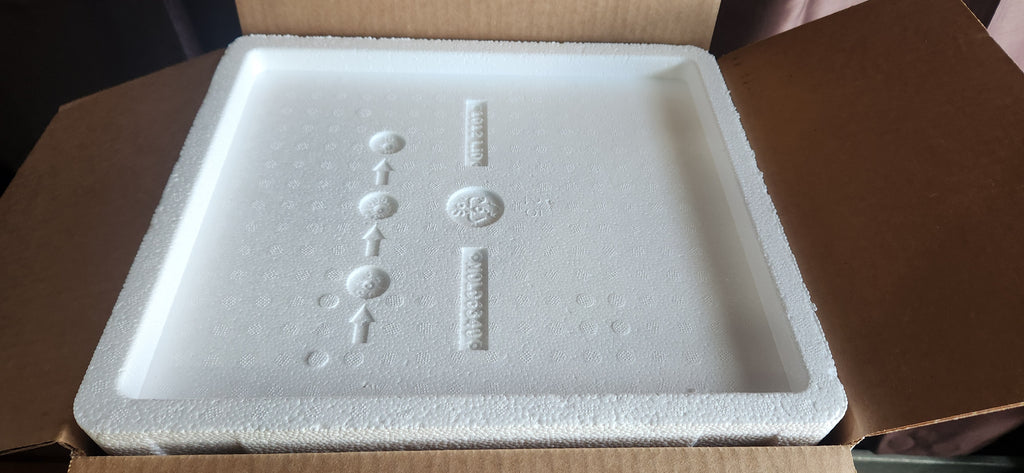 Lot of Thermosafe Insulated Styrofoam Shipping Boxes (11 ct)